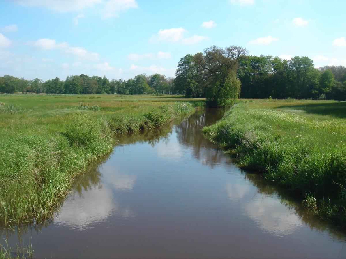 Herberg De Fazant Oudemolen Exterior foto